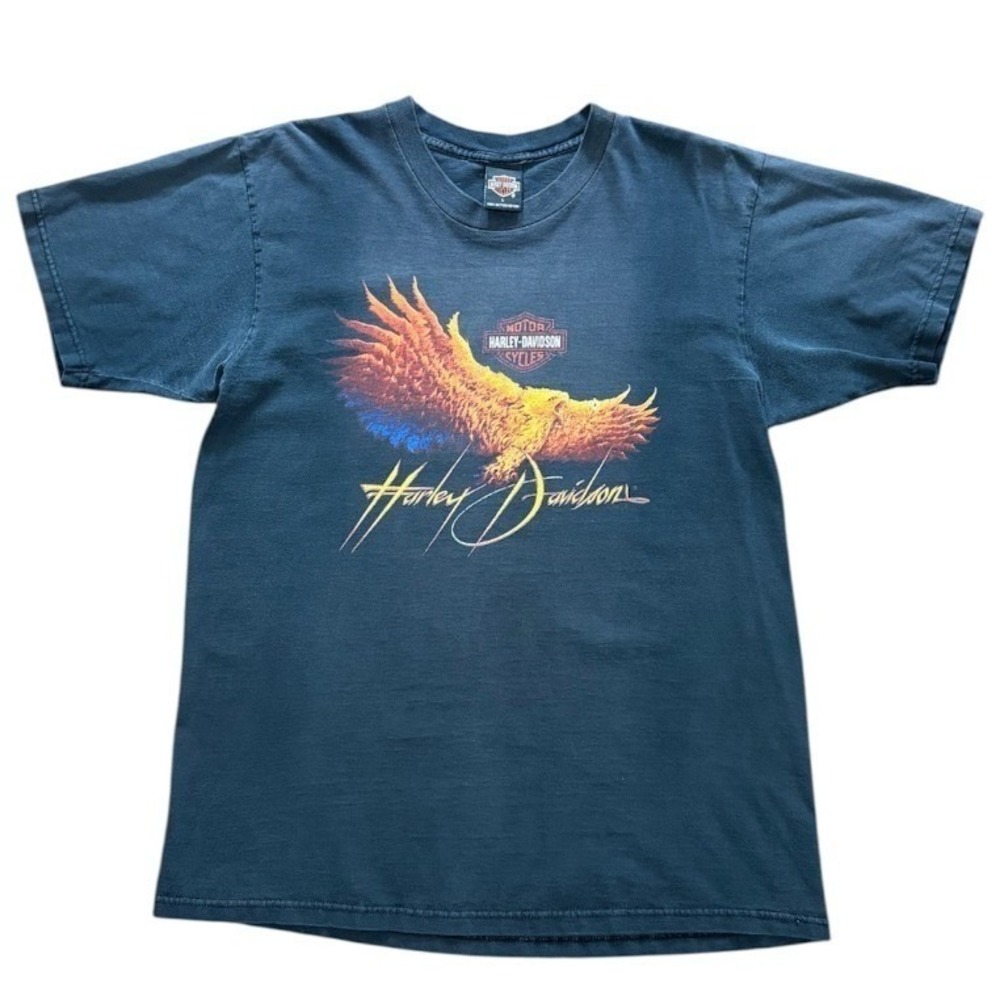 Vintage 90s Harley Davidson Alberta Canada Flame Eagle Biker Motorcycle T-shirt